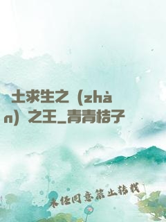 廢土求生之戰(zhàn)爭之王