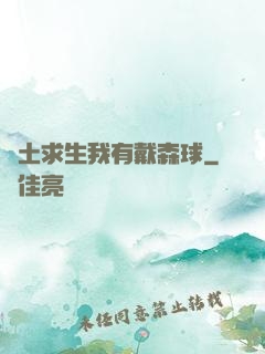 廢土求生我有戴森球