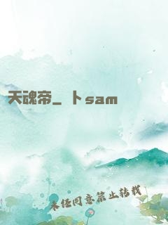 弒天魂帝