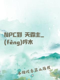 從NPC到諸天霸主