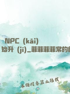 從NPC開(kāi)始升級(jí)