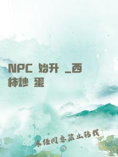 從NPC開始升級