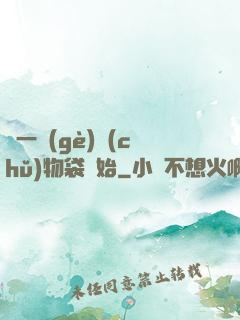 從一個(gè)儲(chǔ)物袋開始