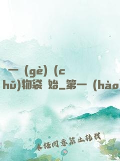 從一個(gè)儲(chǔ)物袋開始