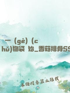 從一個(gè)儲(chǔ)物袋開始