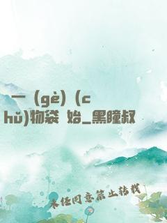 從一個(gè)儲(chǔ)物袋開始