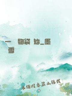 從一個儲物袋開始