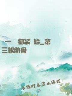 從一個儲物袋開始