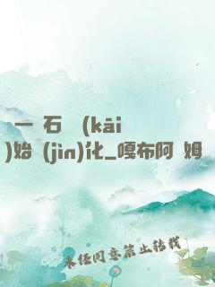 從一塊石頭開(kāi)始進(jìn)化