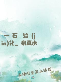 從一塊石頭開始進(jìn)化
