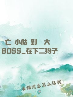 從亡靈小骷髏到終極大BOSS