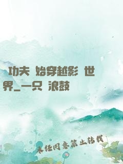 從功夫開始穿越影視世界