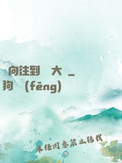 從向往到娛樂大師