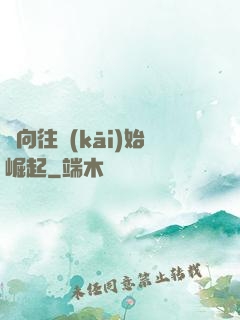 從向往開(kāi)始崛起