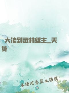 從大佬到武林盟主
