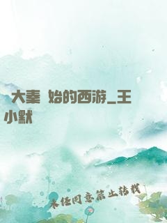 從大秦開始的西游