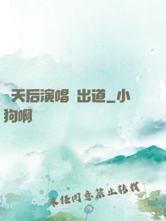 從天后演唱會出道