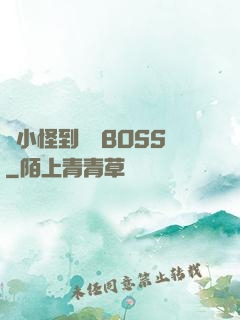 從小怪到無敵BOSS