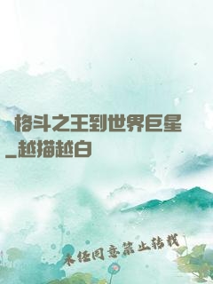 從格斗之王到世界巨星