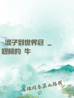 從混子到世界冠軍