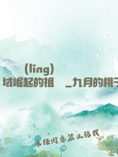 從無敵領(lǐng)域崛起的祖師爺