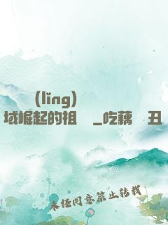 從無敵領(lǐng)域崛起的祖師爺
