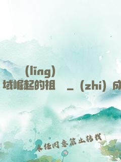 從無敵領(lǐng)域崛起的祖師爺