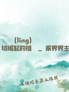 從無敵領(lǐng)域崛起的祖師爺