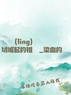 從無敵領(lǐng)域崛起的祖師爺