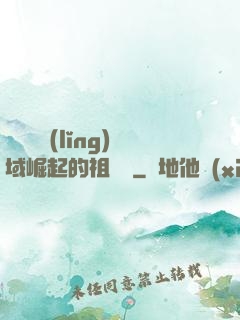 從無敵領(lǐng)域崛起的祖師爺