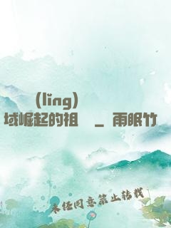 從無敵領(lǐng)域崛起的祖師爺