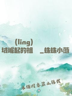 從無敵領(lǐng)域崛起的祖師爺