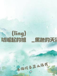 從無敵領(lǐng)域崛起的祖師爺