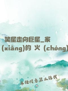 從笑星走向巨星