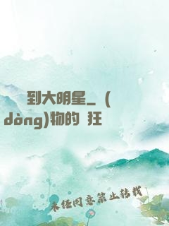 從編劇到大明星