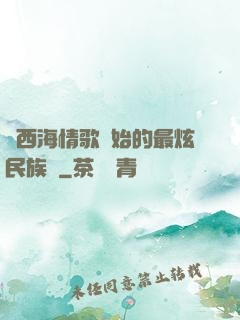 從西海情歌開始的最炫民族風