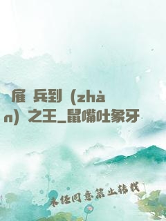 從雇傭兵到戰(zhàn)爭之王