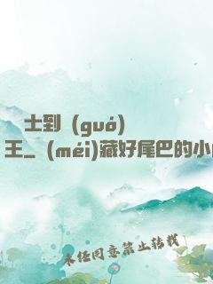 從騎士到國(guó)王
