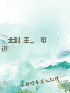 從騎士到國王