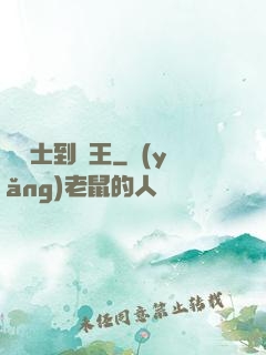 從騎士到國王