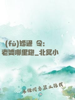 復(fù)婚通緝令：老婆哪里跑