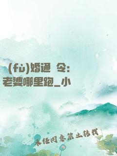復(fù)婚通緝令：老婆哪里跑
