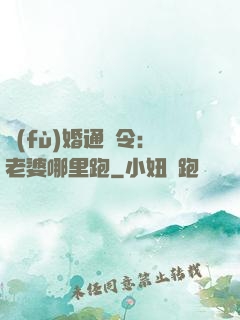 復(fù)婚通緝令：老婆哪里跑