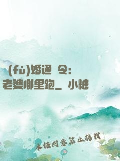 復(fù)婚通緝令：老婆哪里跑