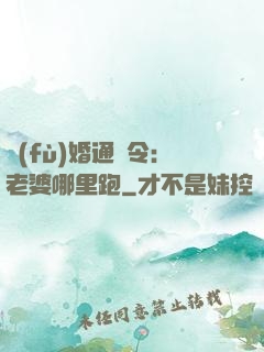復(fù)婚通緝令：老婆哪里跑
