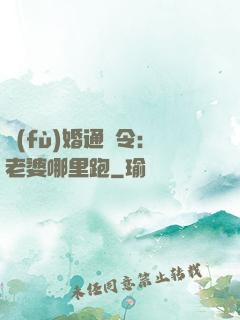 復(fù)婚通緝令：老婆哪里跑