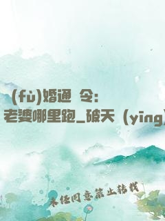 復(fù)婚通緝令：老婆哪里跑
