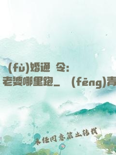 復(fù)婚通緝令：老婆哪里跑