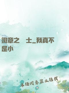 徽章之龍騎士