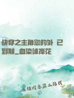 快穿之主角您的外掛已到期